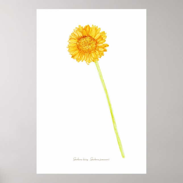 Gerbera daisy Impressão, Value Poster Paper (Matte (Frente)