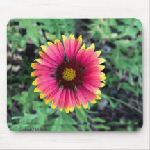 Gerbera Daisy Mouse Pad