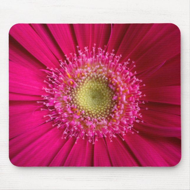 Gerbera Daisy Mouse Pad (Frente)
