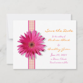 Gerbera Daisy, rosa personalizável, salve o cartão