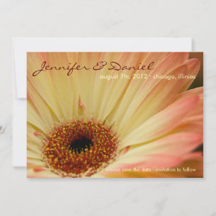 Gerbera Dourada • Anúncio de Salve o Dia
