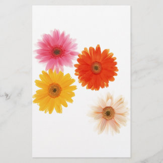 Gerbera Flowers Impressão Flor Flutuante Floral