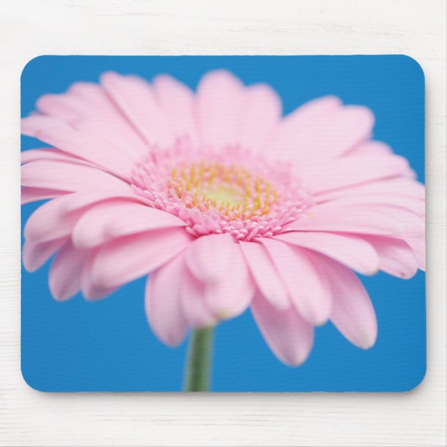 Gerbera Mousepad Rosa (Frente)