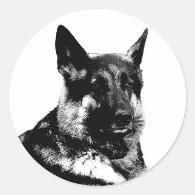 German shepherd adesivo (Frente)