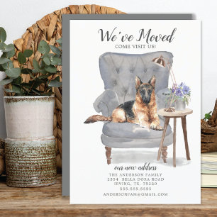 German shepherd  Anúncio de mudança
