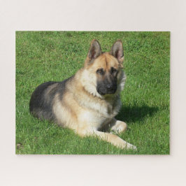 German shepherd Cachorro Cachorro Quebra-cabeça