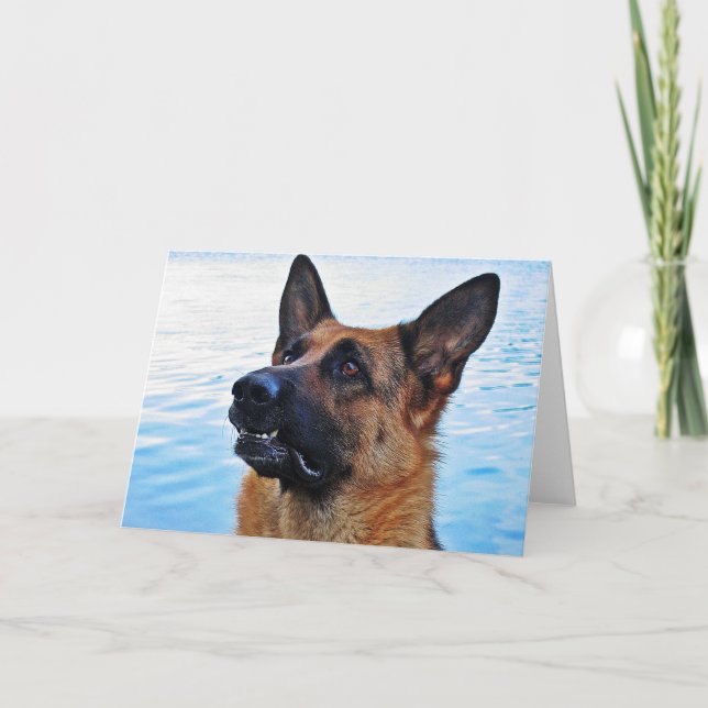 German shepherd - Cartão de cão (Frente)