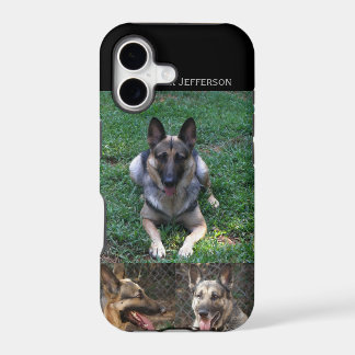 German shepherd: Colagem da imagem