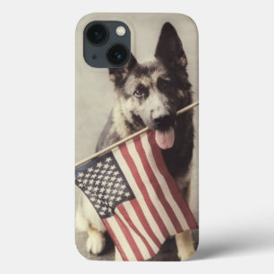 german shepherd com sinalizador dos EUA