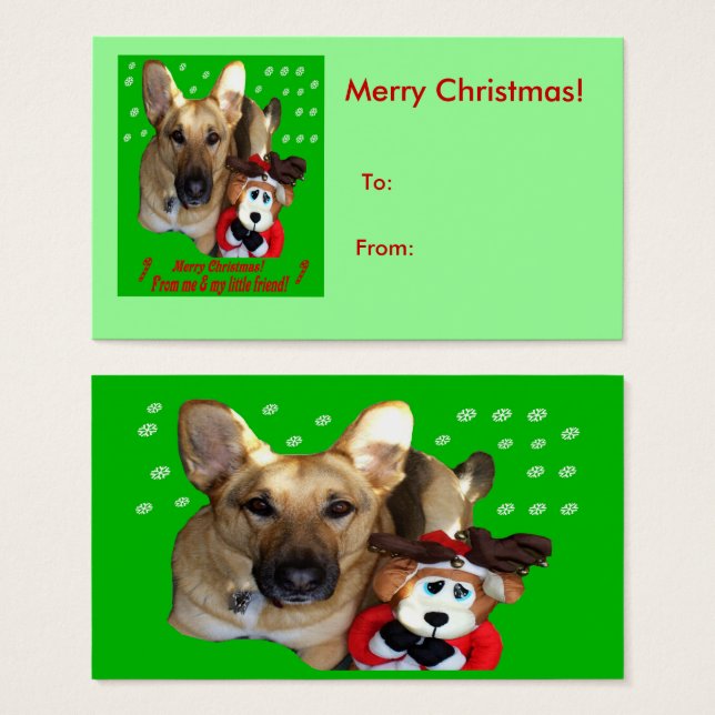 German shepherd de Natal, Reindeer de Dogs (Frente & Verso)