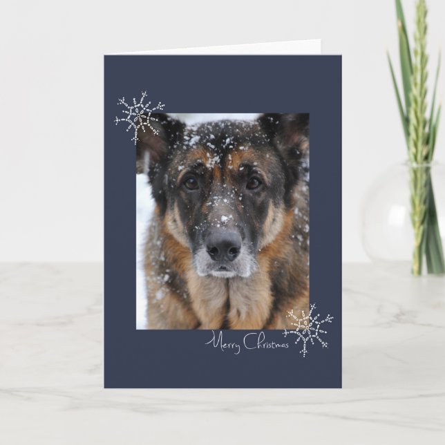 German shepherd do Feliz Natal no cartão da neve (Frente)
