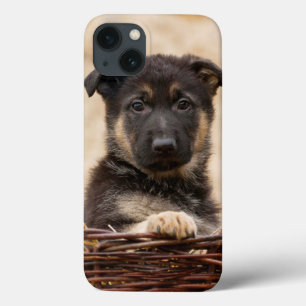 German shepherd Em Cesta