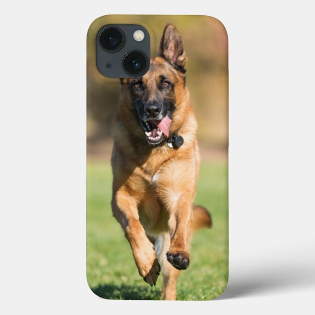 German shepherd em execução (Verso)