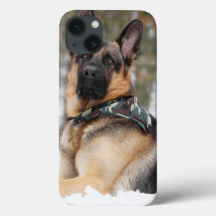 German Shepherd In Snow
