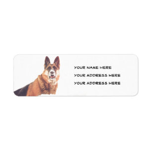 German shepherd lindo na etiqueta de endereço da