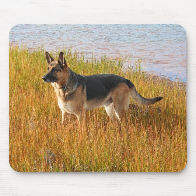 German shepherd Mousepad do puro-sangue (Frente)