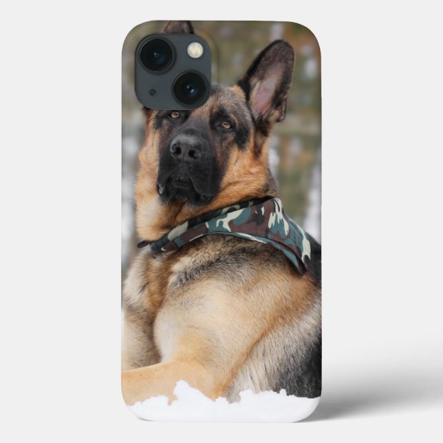 German shepherd Na Neve (Verso)