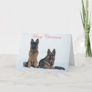 German shepherd no cartão de natal da neve.