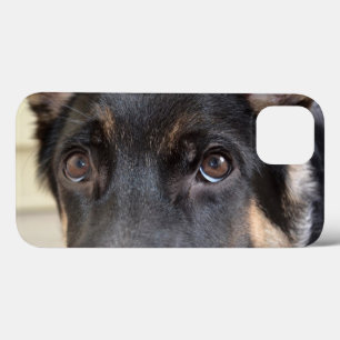 german shepherd por Shirley Taylor 