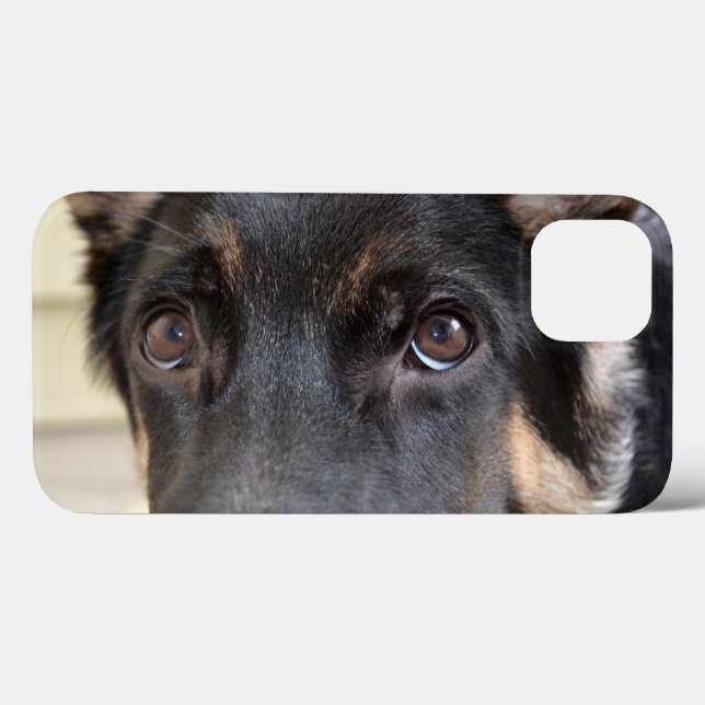 German shepherd por Shirley Taylor (Verso (horizontal))