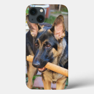 German shepherd por Shirley Taylor
