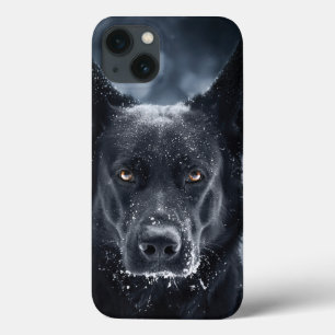 German shepherd Preto