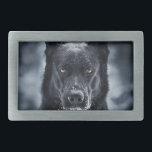 German shepherd Preto<br><div class="desc">German shepherd Preto</div>