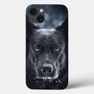 German shepherd Preto
