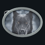 German shepherd Preto<br><div class="desc">German shepherd Preto</div>