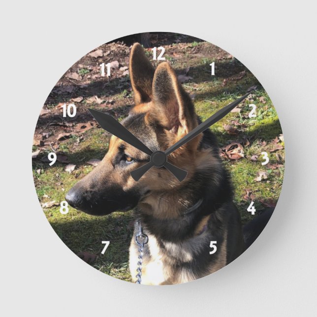 German shepherd: Relógio de Parede (Frente)