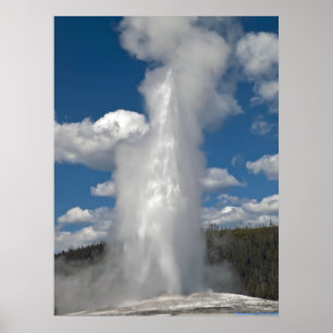 Geyser fiel velho - impressão das belas artes