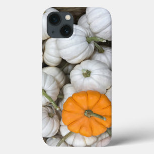 Ghost Pumpkins com uma laranja esgueirada