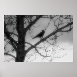 Ghost Raven Poster