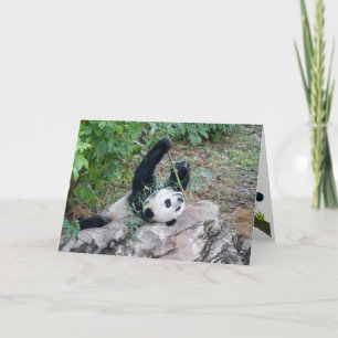 Giant Panda Apenas Cartão de Saudação Chillaxin