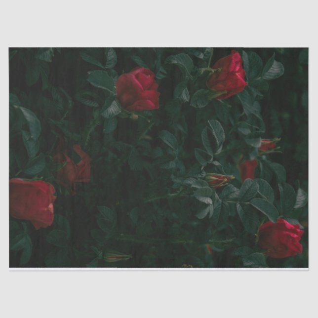 Giftwraping de Decoupage de Papel Tecido do Rosa v (Frente )