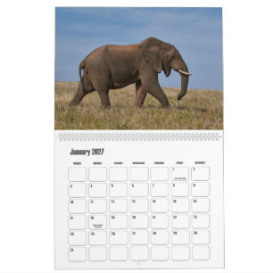 Gigantes Majestosos Calendário da Vida Selvagem Af