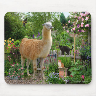 "Gigi o lama" Mousepad