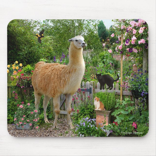"Gigi o lama" Mousepad (Frente)