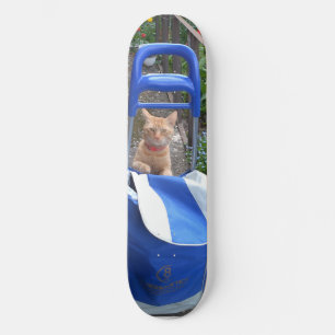 Ginger Cat de skate