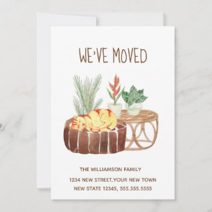 Ginger Cat, nós mudamos o lançamento