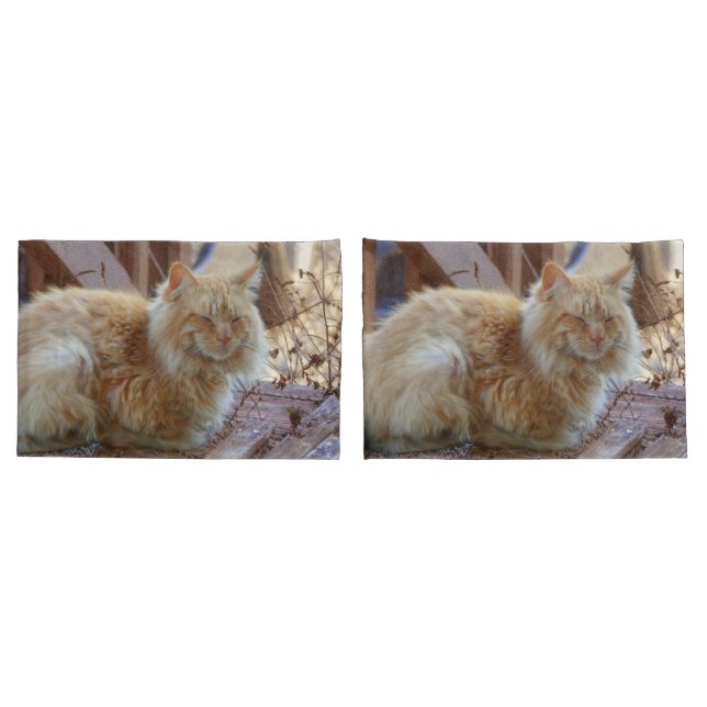 Ginger George (Verso - conjunto)