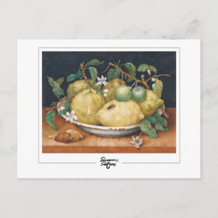 Giovanna Garzoni nº 4 - Cartão postal de arte