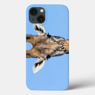 Girafa