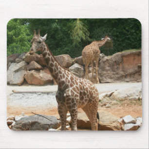 Girafa bonito Mousepad