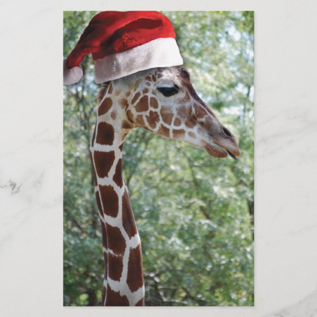 Girafa de Natal (Frente)