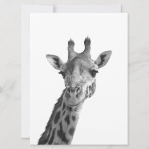 Girafa preto & branco
