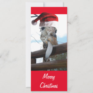 Girafa vestindo um chapéu de Papai Noel para Nata
