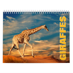 Girafas 2022 Calendário de Parede