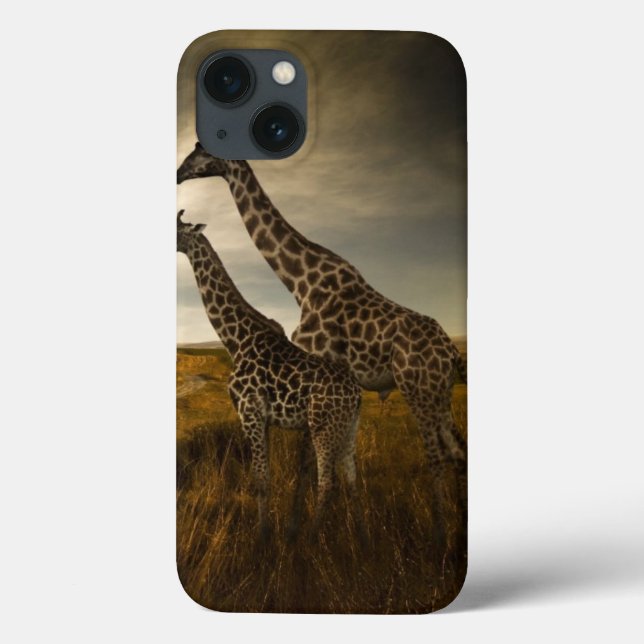 Girafas e a paisagem (Verso)