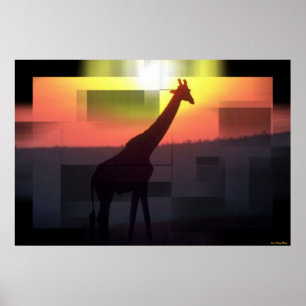 Girafas Impressão